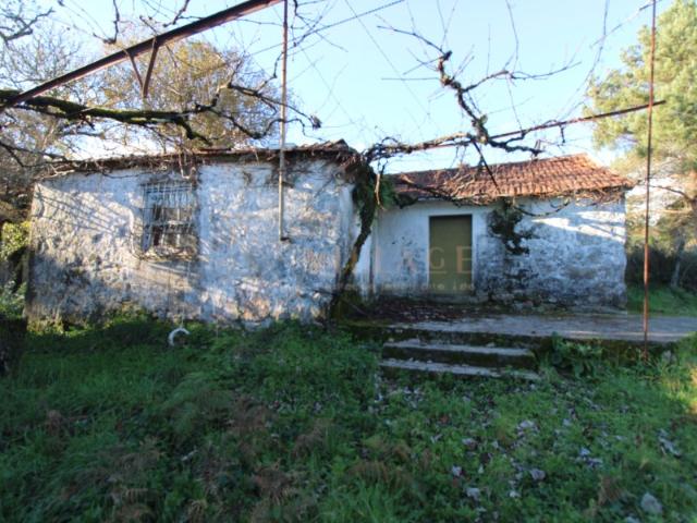 Moradia