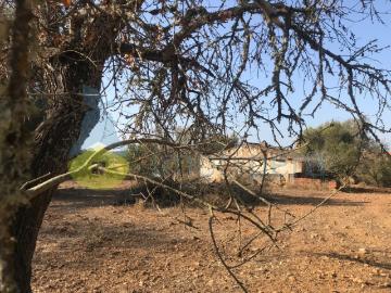 MORADIA/CASA ANTIGA EM RUÍNA COM LOTE DE TERRENO