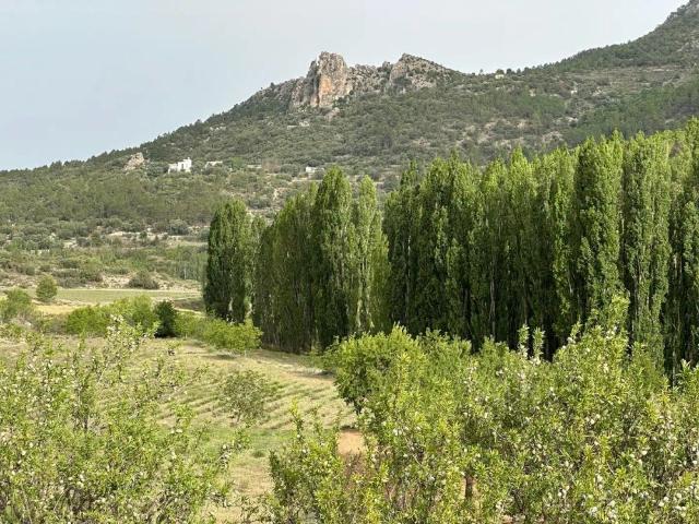 Moratalla
