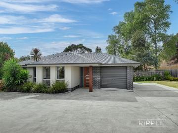 Cambridge, Clarence, Clarence, Tasmania, Penguin Island, Cloudy Bay, Kingborough, Tasmania Island