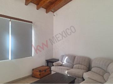 Morelos, Palmas, Jiutepec