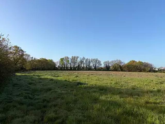 Mornac sur Seudre 17113 Programme neuf maison neuf à vendre 3 pièces