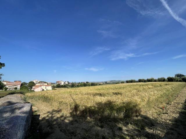 Mosciano Sant´Angelo 11500mq