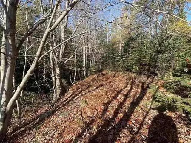 Mosher Road, Conrod Settlement, NS, B0J 2L0 vacant land for.