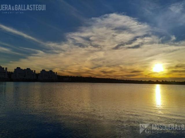 Mosquera
