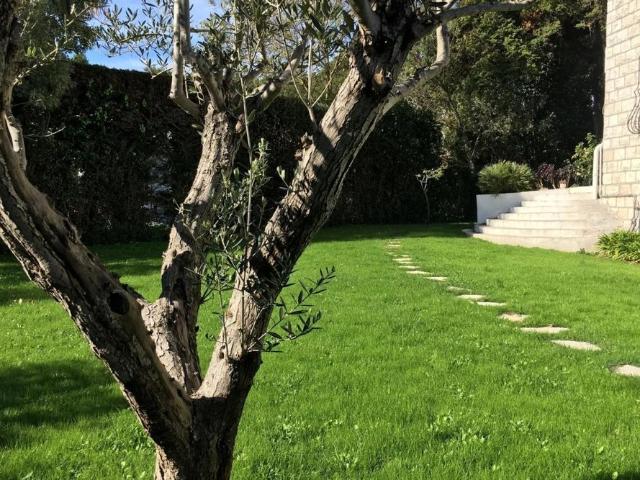 MOUGINS BELLE VILLA 9 PIÈCES A LOUER MEUBLÉ LONGUE DURÉE DOMAINE FERMÉ