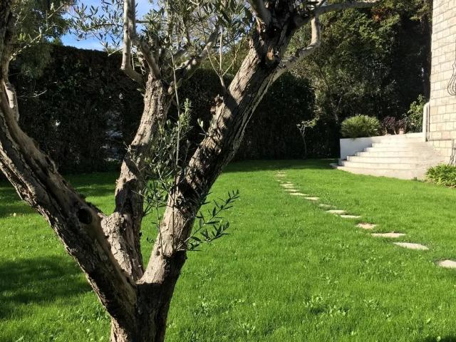 MOUGINS BELLE VILLA 9 PIÈCES A LOUER MEUBLÉ LONGUE DURÉE DOMAINE FERMÉ