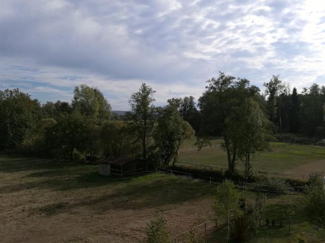 Moulin caractéristique avec 2,7 ha de pâturages pour chevaux. 230m² Luxeuil les Bains
