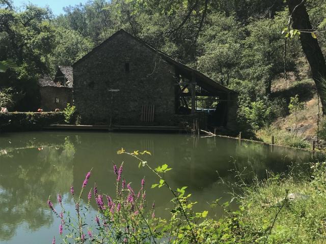 Moulin de la Mercie en pleine nature Aveyron 116m² La Salvetat Peyralès