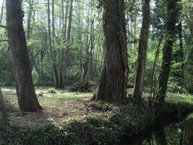Moulin du XVIIIe, gîte d'exception et domaine en éco autonom. 420m² Montluçon