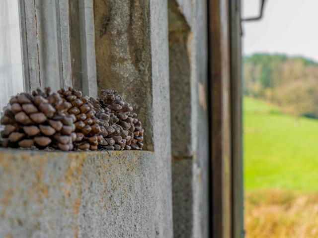 Moulin Sur L'anguison Entre Forêt Et Vallée 710m² Mhère