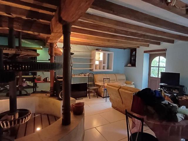Moulin sur Lignac 9 pièce s 240 m2