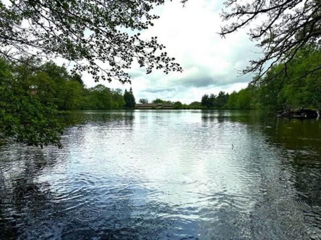 Moulin rénové avec étang, piscine et 8 hectares de