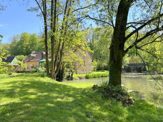 Moulin Ruillé en Champagne 7 pièce s 208 m²