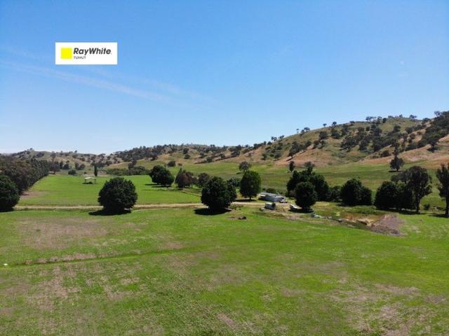 Mount Adrah