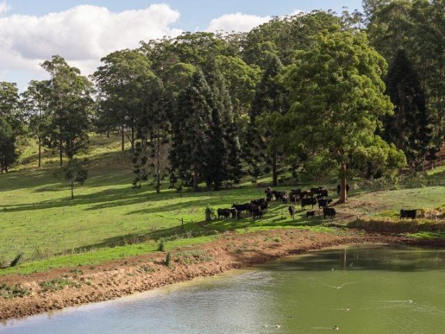 'Mount Albion' 153 Acres Prime Fertile Kikuyu Country Cascading Dams Stunning Views