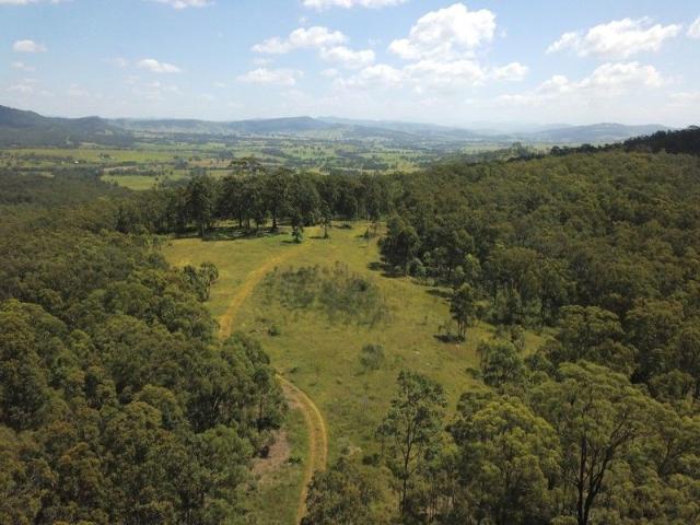 Mount Breckin Million Dollar Koala Mountain