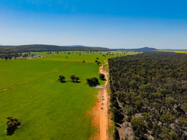Mount Olive 2,093Ha of Versatile Riverina Country