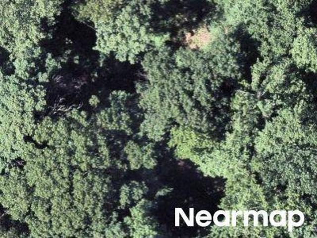 Mount Rd