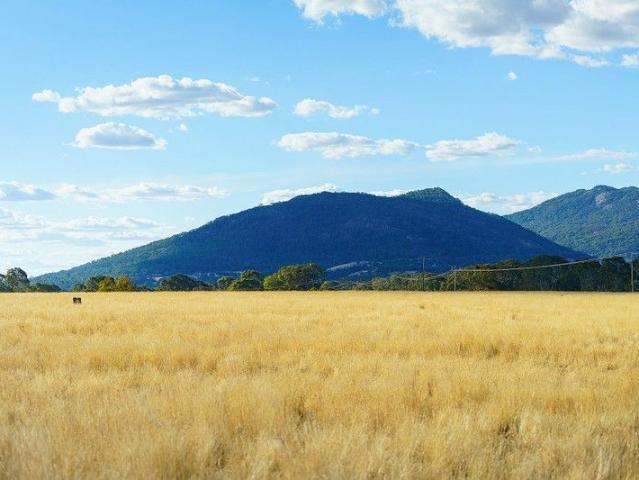 Mountain View Mt Langi Ghiran or reclining woman 26.5 Acres