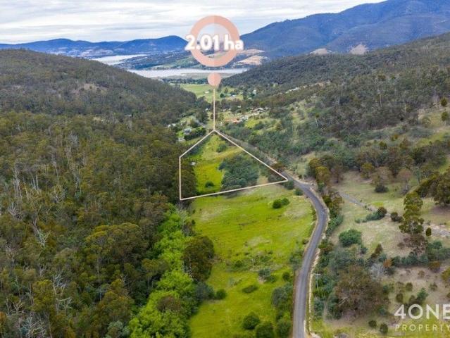 Second Chance: Mountain View Land in Dromedary