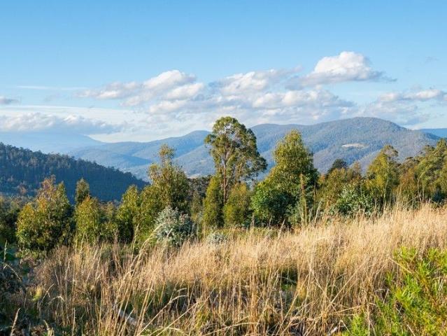 Mountain Views from 8.5 Acres