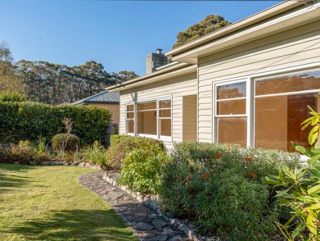 Mountain Views & Sun Filled Living in South Hobart