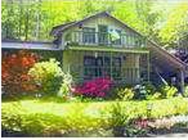 Mountain Cabin on rushing trout river & waterfall with WIFI