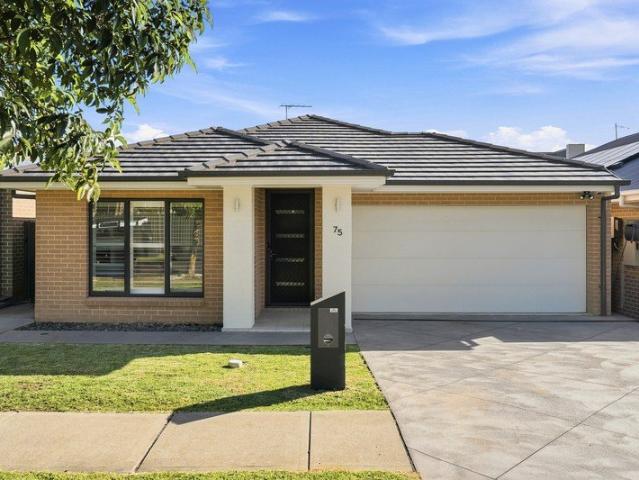Move in ready!