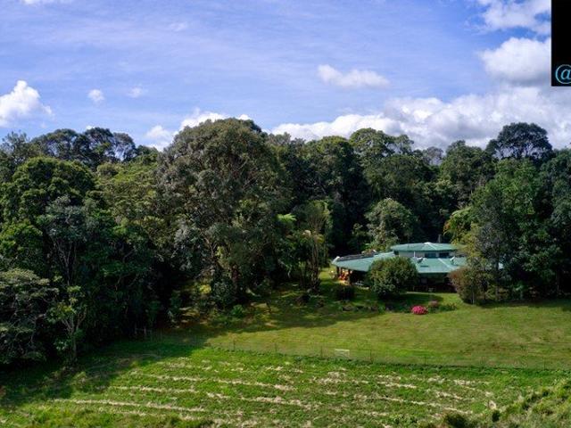 Unique and Private Rainforest Sanctuary Ravenshoe