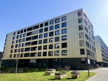 MOYO Modernes Studio im Zentrum in 6048 Horw