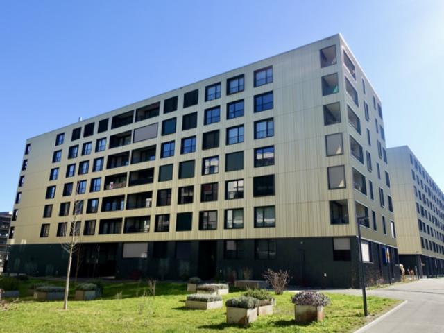MOYO Blau machen? in 6048 Horw