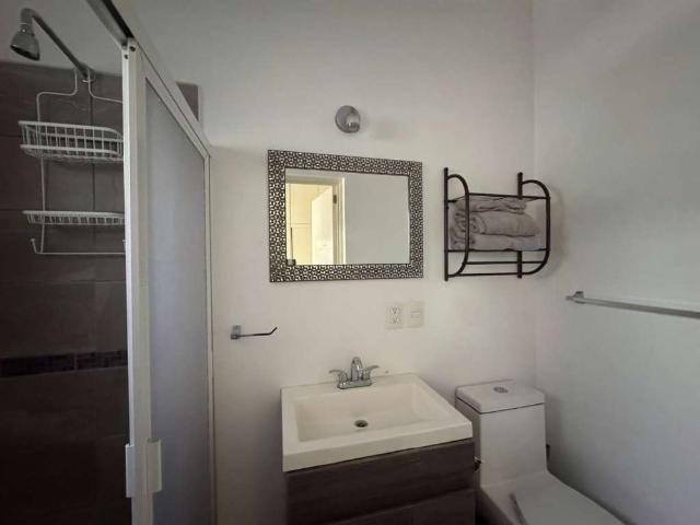 MLS ID: CAR12571 Downtown Ajijic Crisantemo #2