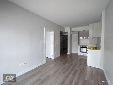 MSC DEN YATIRIMLIK 1+1 PARKETAP BİTİŞİĞİ