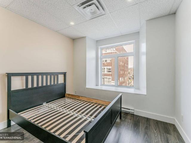 MP157 Apartment Plateau Mont Royal, Montreal
