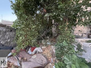 Yenikapı Mah , Mardin, Mardin ili, Güneydoğu Anadolu Bölgesi