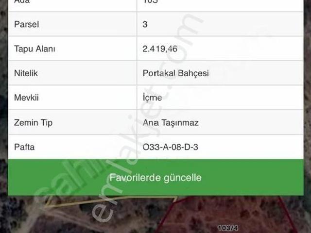 Mrs Gayrimenkul Akdeniz Camili Köyü 2500 Dönüm İçinde
