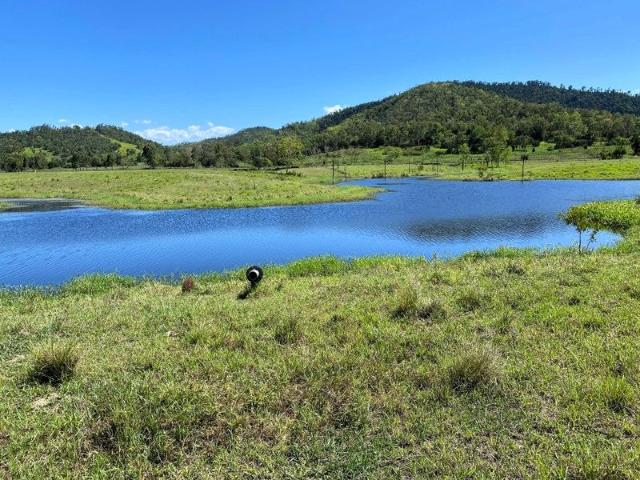 Mt Ossa Grazing & Lifestyle