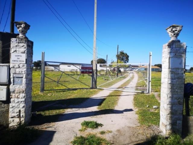 MTM6872 Quintinha 11.500m2 | Palmela