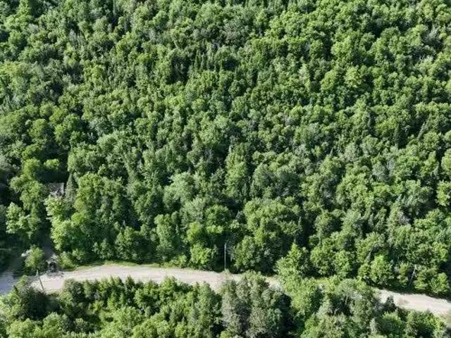 Mtée Gagnon, Val David, QC, J0T 2N0 vacant land for sale Li.