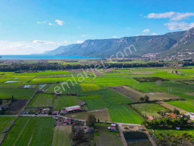 Muğla Gökovada Doğanın Kucağında Satılık Muhteşem Havuzlu Villa