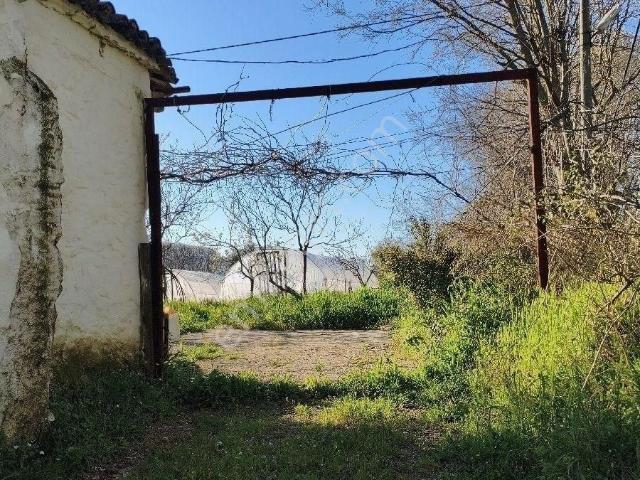 Muğla Karabağlar Yaylası Satılık Ev Ve Arazi