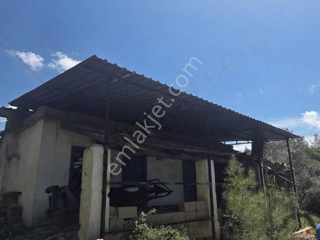 Muğla Milas Çiftlik Mahallesinde Satılık Köy Evi