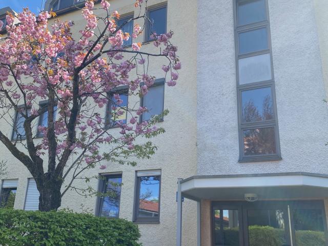 München Johanneskirchen: 2 Zi Whg, hell, freundlich und ruhig. Bes. Die. 16.06 nach Vereinbarung