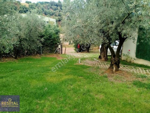 Mudanya Kumyaka'da 3 Dönüm Arazi İçerisinde Satılık Villa