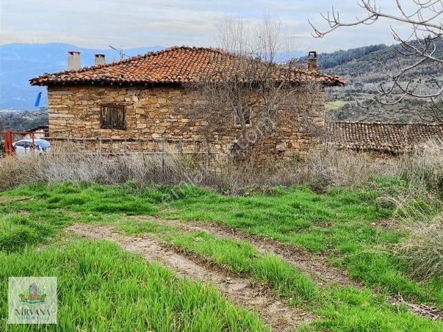 Muhteşem Baraj Manzaralı Köyevi Ve Zeytin incir Bahçesi 7000 M2