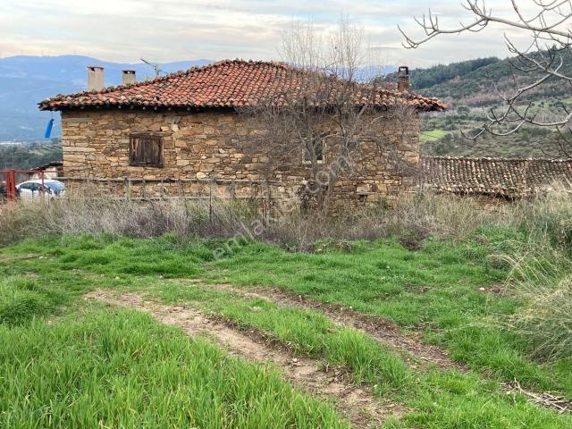Muhteşem Baraj Manzaralı Köyevi Ve Zeytin incir Bahçesi 7000 M2
