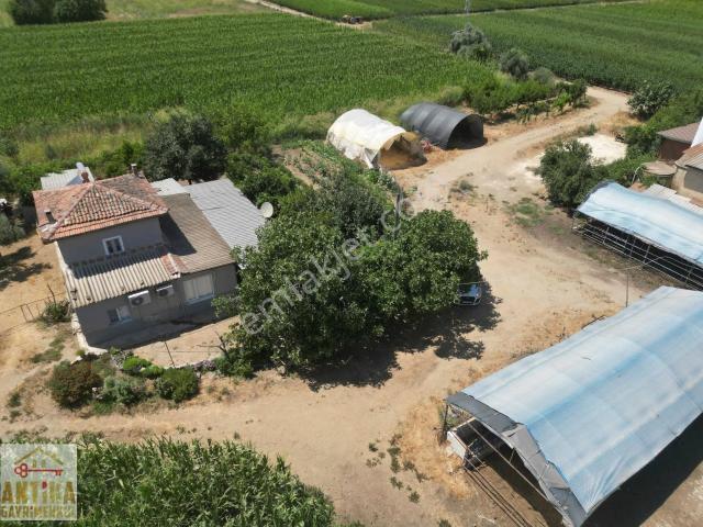 Muhteşem Çiftlik Evi ödemiş'e 7 Km adagide Ana Yol Üzeri 3 Dam