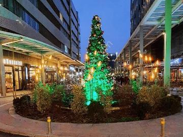 Mustafa Kemal Mahallesi, Çankaya, Çankaya, Ankara ili, İç Anadolu Bölgesi