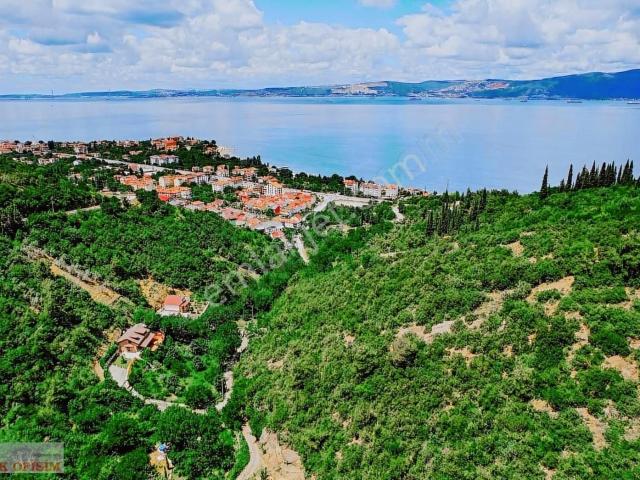Muhteşem Manzaralı 1558 M2 Meyva Bahçesi İçinde Satılık Villa